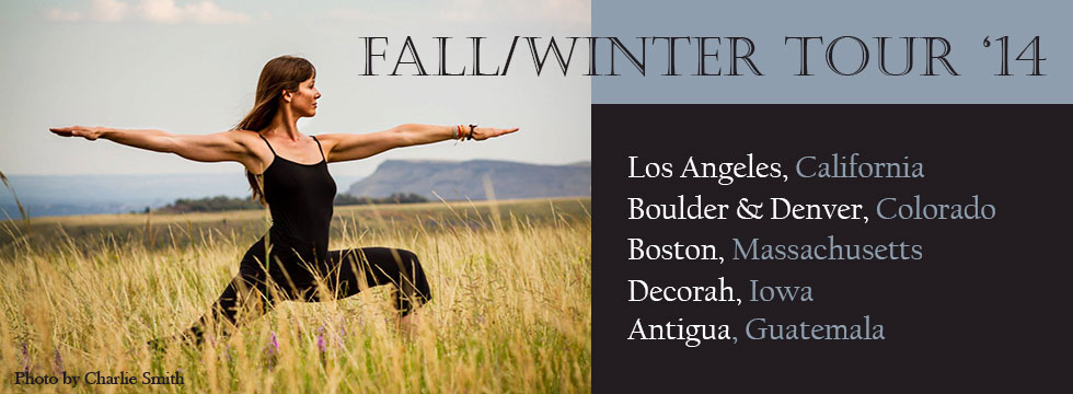 Kelly Larson Fall/Winter tour 2014